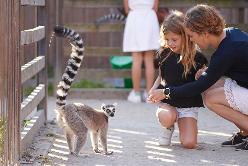 Zoo de bordeaux Pessac @Stephane Adam