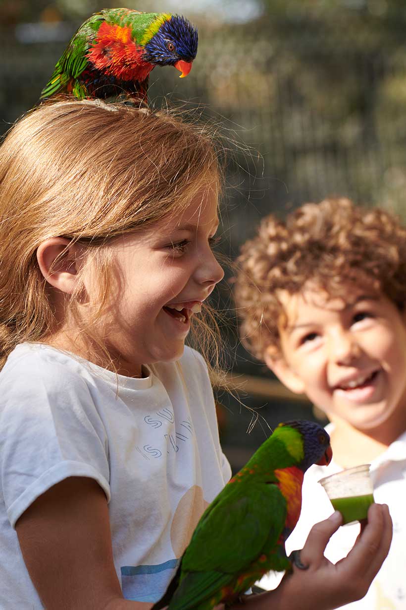 Zoo de bordeaux Pessac @Stephane Adam