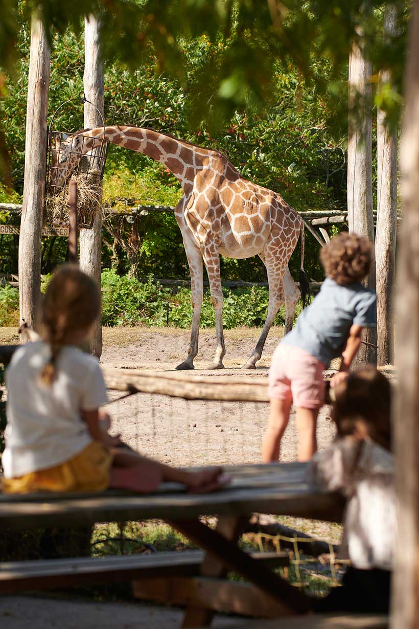 Zoo de bordeaux Pessac @Stephane Adam Zoo de bordeaux Pessac @Stephane Adam
