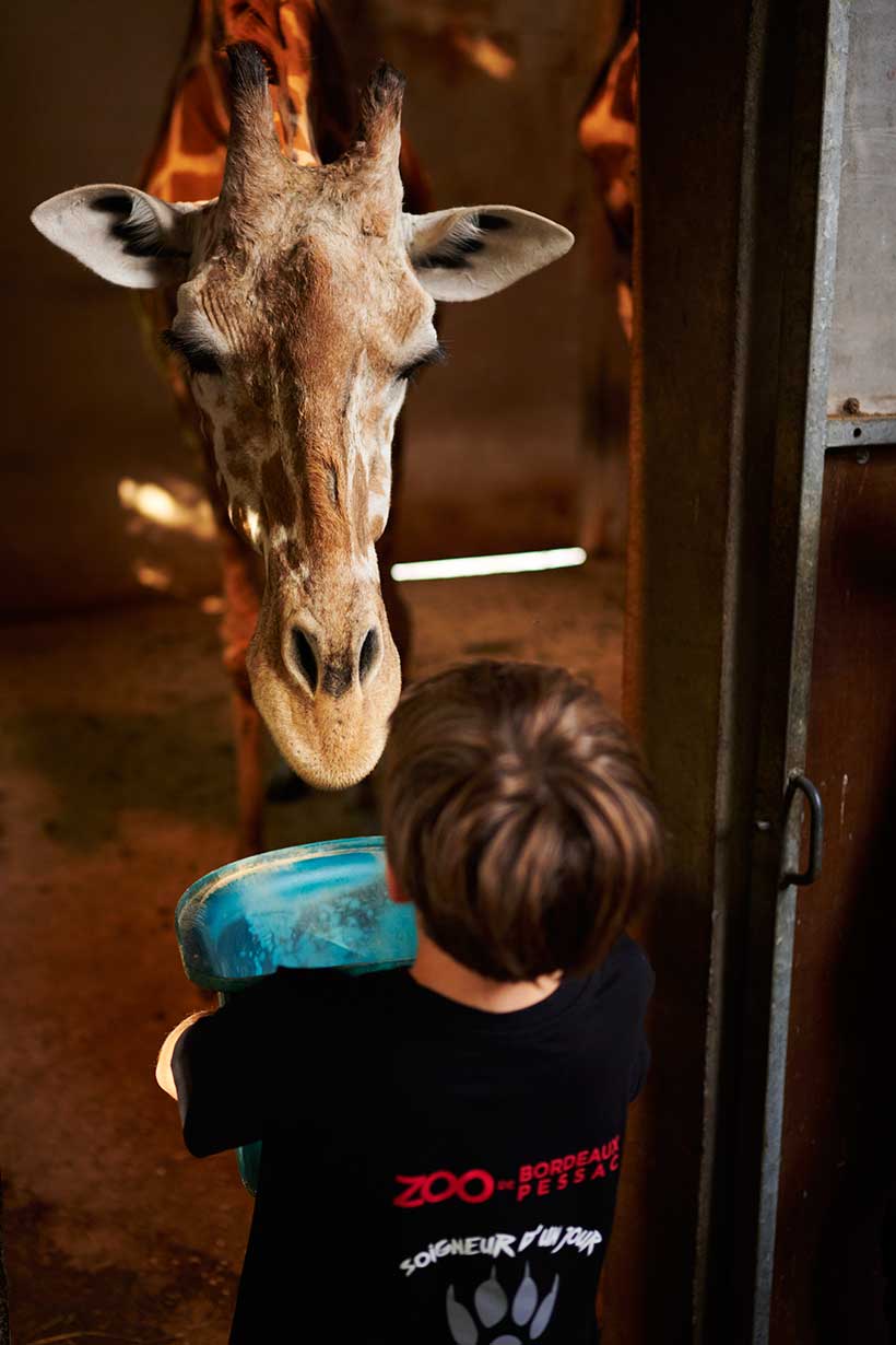 Zoo de bordeaux Pessac @Stephane Adam