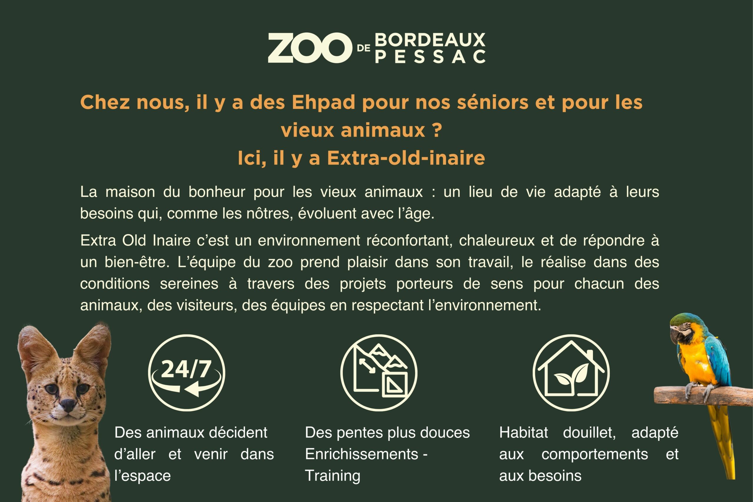 déscription du projet ephad 