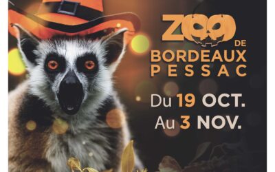 Le Zoo De Bordeaux Pessac Se Réinvente Au Fil Des Saisons