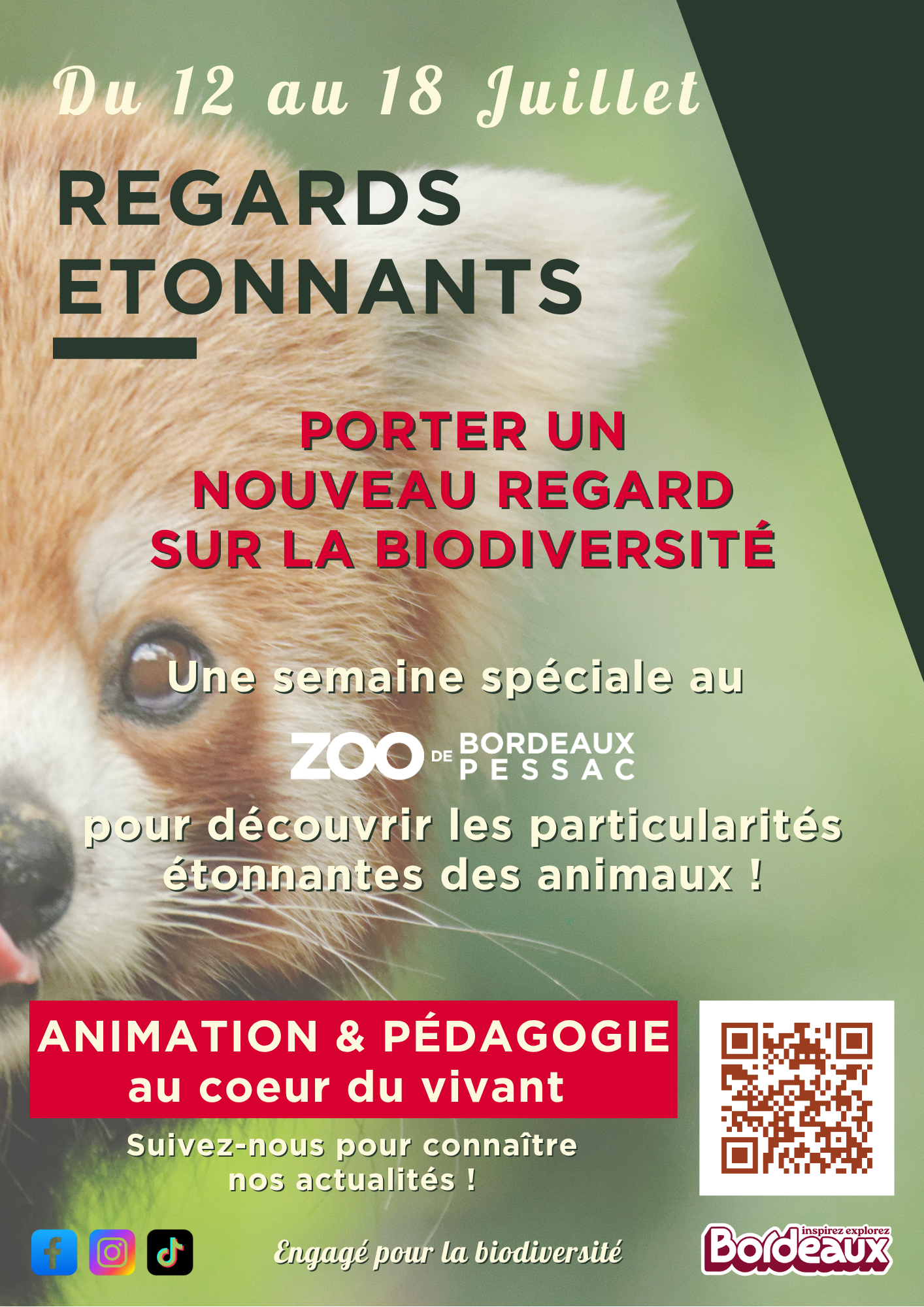 AFFICHE A3 PROGRAMME-2