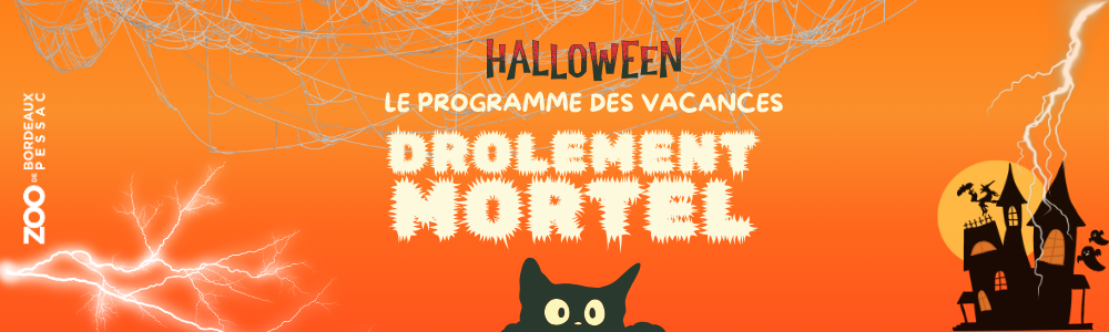 Design sans titre