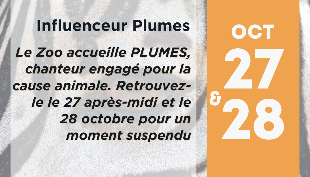 Newsletter octobre